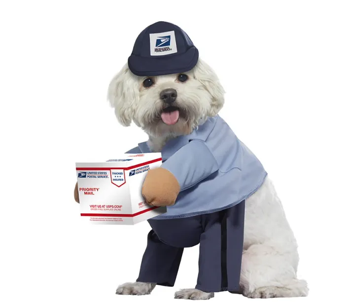 United States Post Office Dog Merch