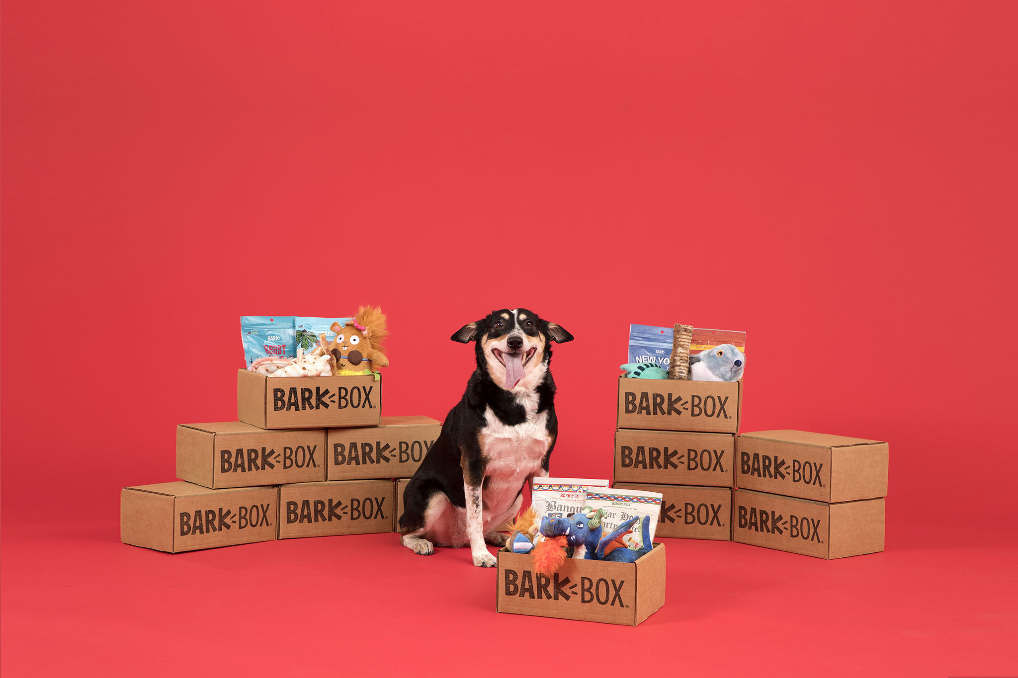 Puppy Love Is In The Air With BarkBox This Valentine’s Day!