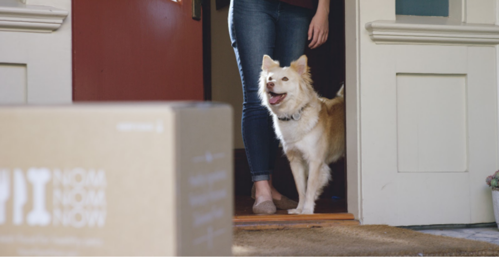 Do You Know What You're Putting In Your Dogs Body? Read This