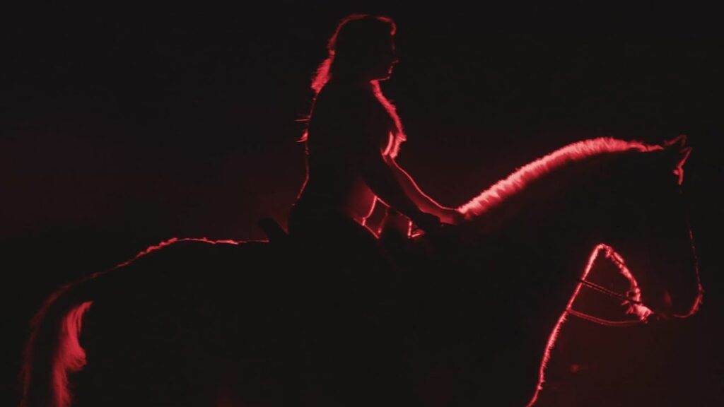 Interview: Post Animal's "Forward Motion Godyssey" Powers Through the Storm
