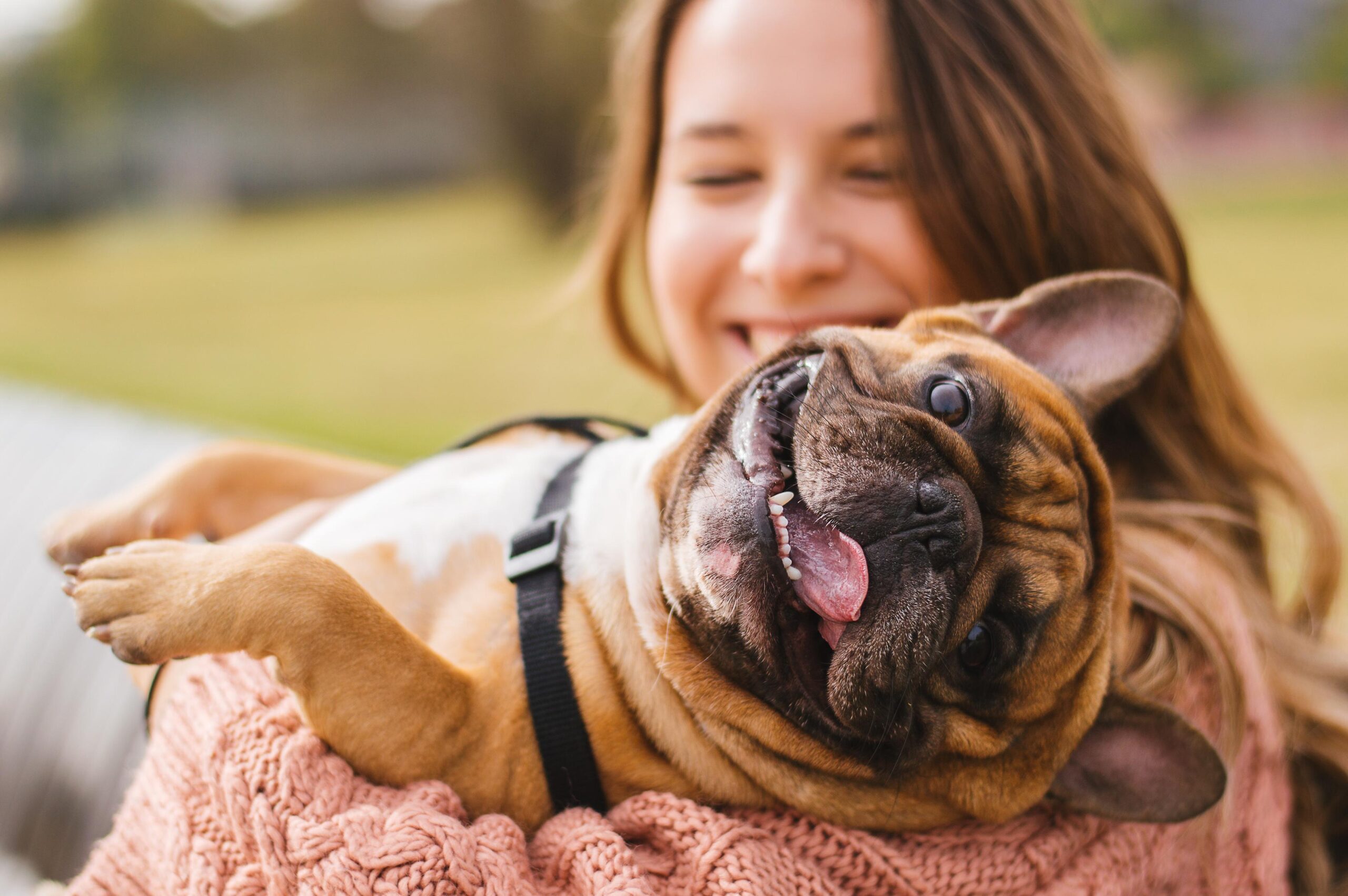 Looking For Pet Insurance? We’ve Got You Covered