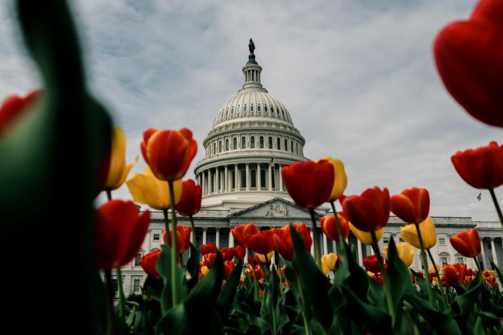 Trump’s 1776 Report Shows What Kind of “Unity” the GOP Wants