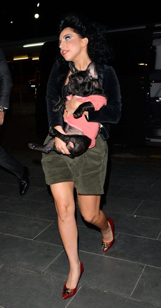 Does Lady Gaga Even Care That Her Dog Walker Was Shot?