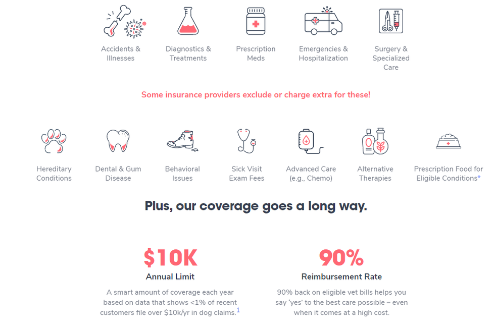 benefits of using Pumpkin Pet insurance