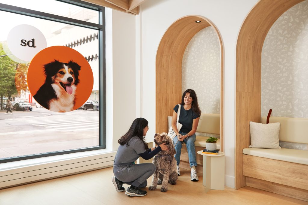 Why Pet Parents Can’t Stop Talking About Small Door Vet