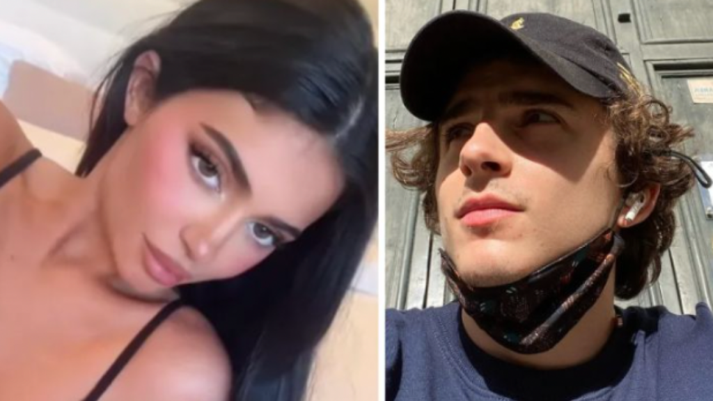 Timothee Chalamet's Friends May Secretly Hate Kylie