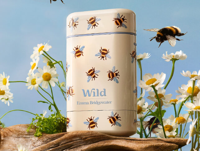 Your Guide to Wild’s Stylish Cases and Fresh Scents