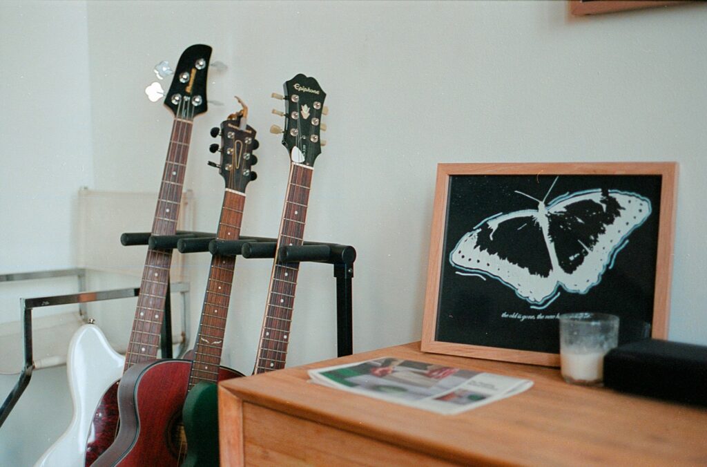 How To Shop For Alembic Electric Guitars: A Buyer’s Guide