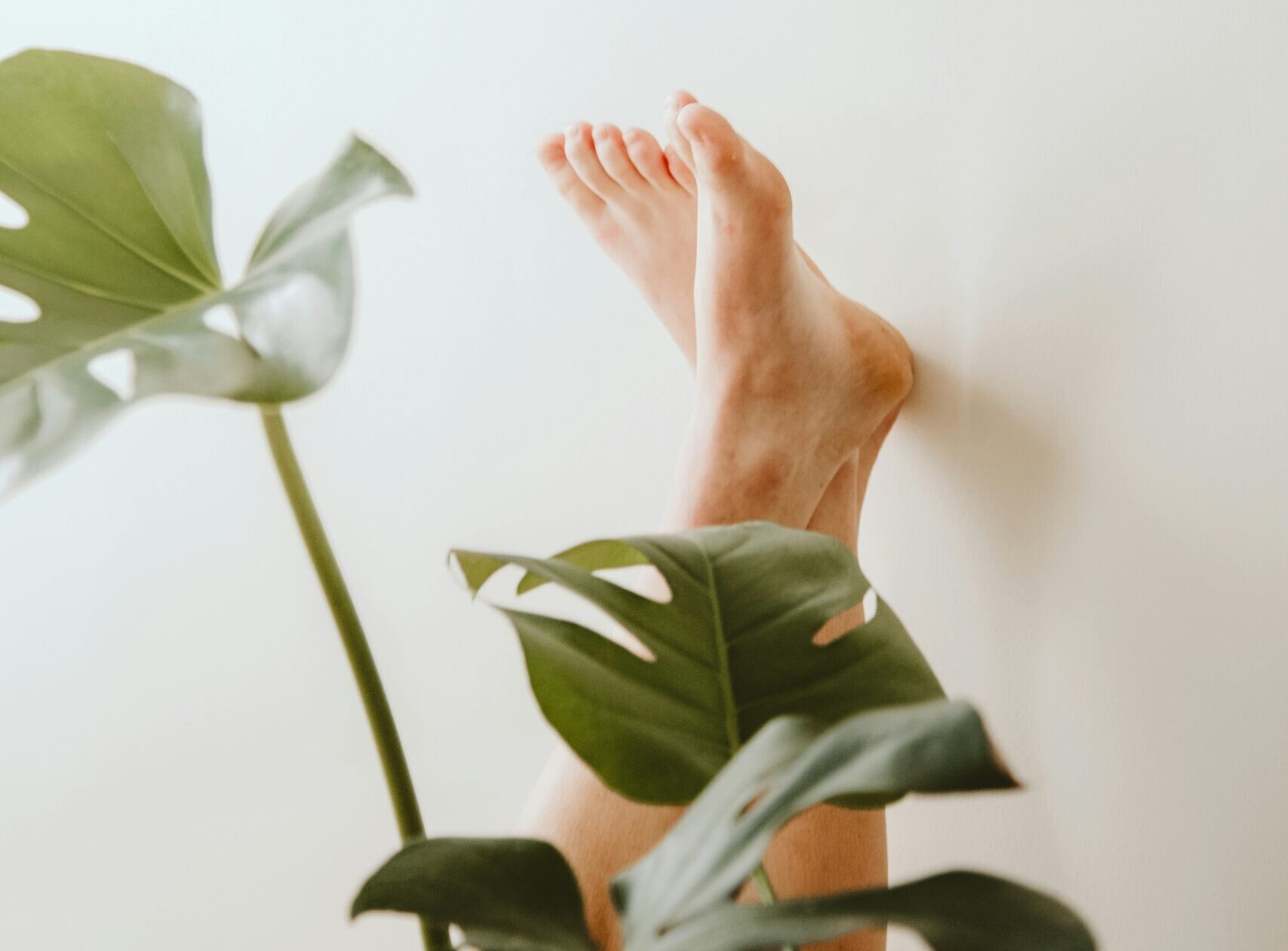 What Features Should You Look for When Creating AI Feet Porn?