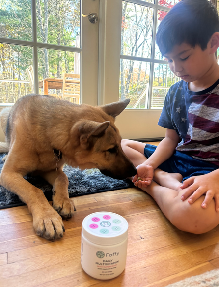 Are Dog Multivitamins Actually Necessary? Here’s What I Learned Before Giving My Dog One