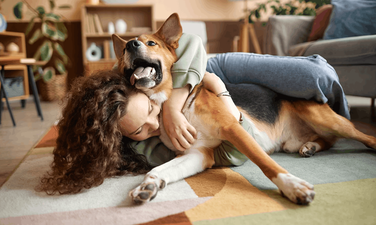Amazon Pet Days Is Here, But Chewy’s National Pet Month Deals Are The Main Event