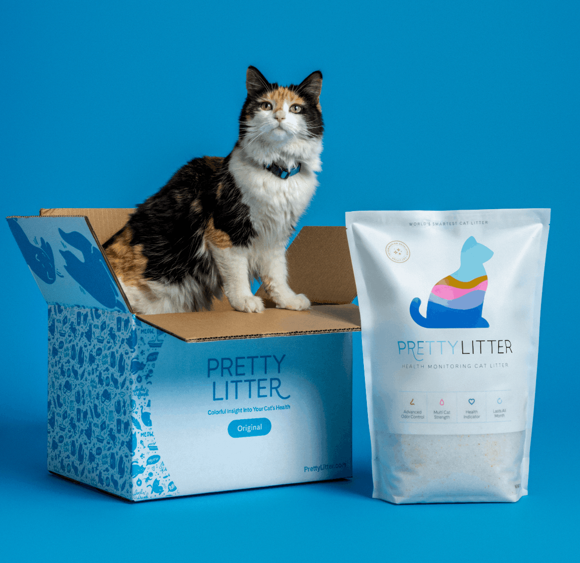 The Cat Litter That Could Help You Catch Health Problems Earlier Is BOGO Right Now