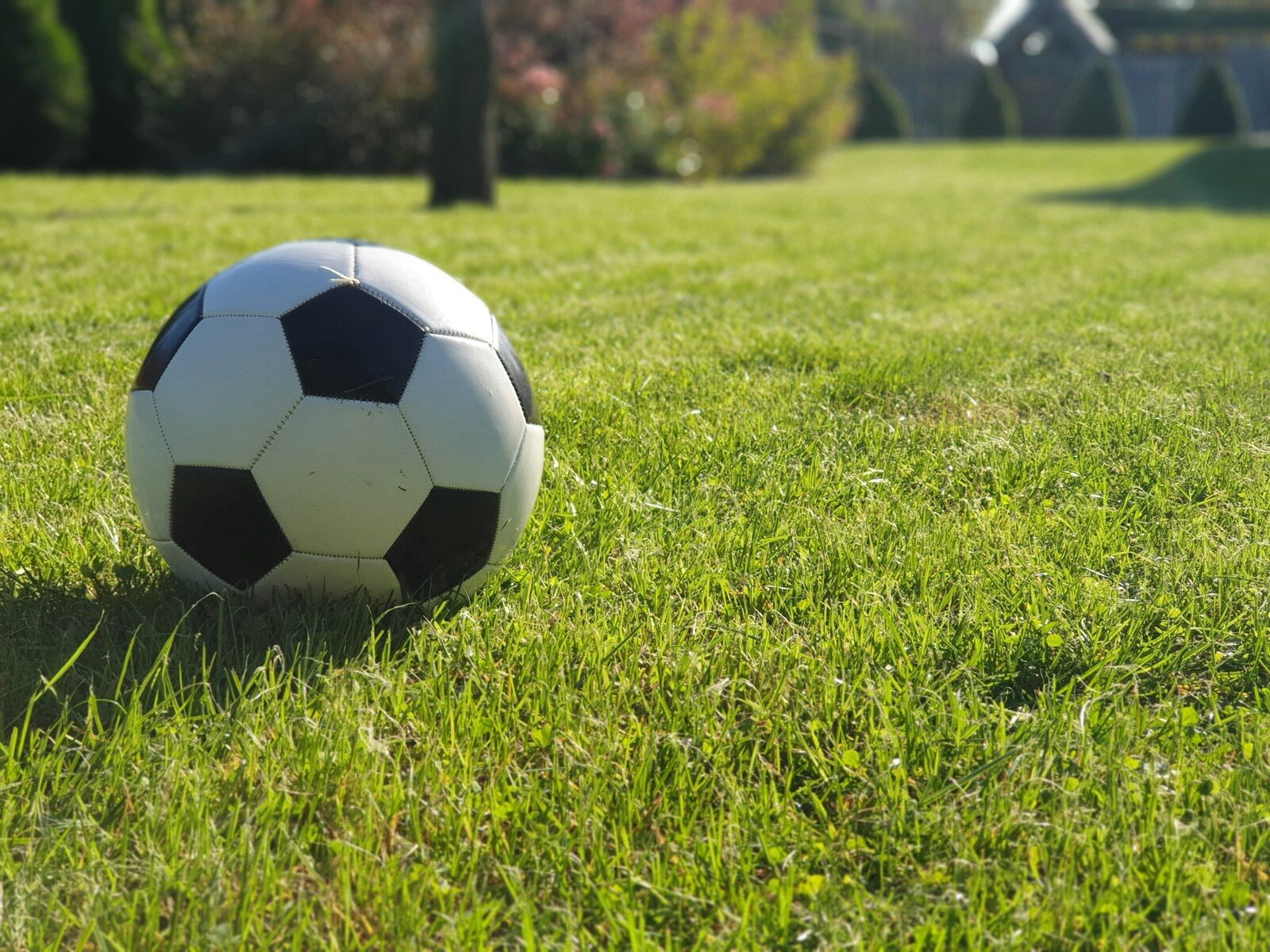 How Betting on Players Who Are Already Familiar With the League Helps Clubs Succeed