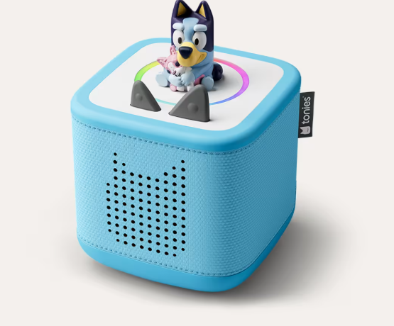 Bluey Starter Set